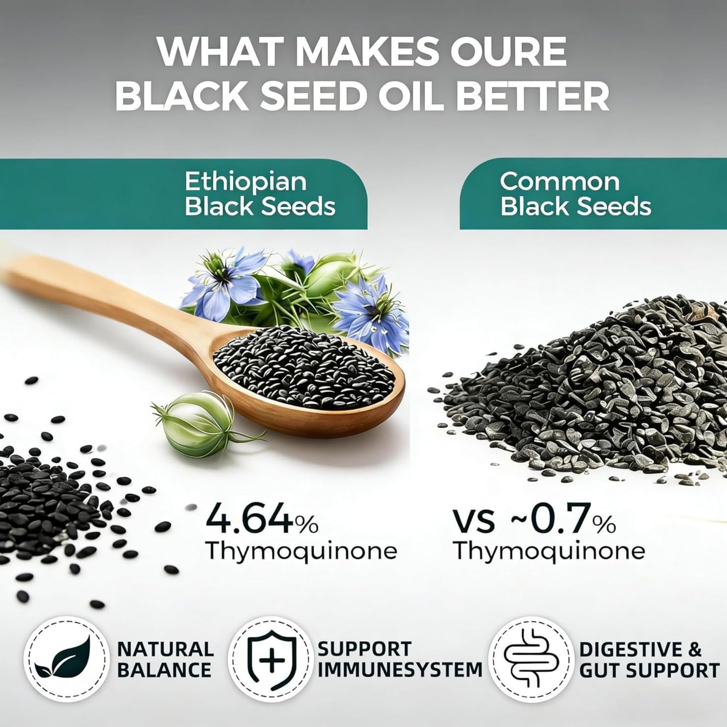 FILWY Ethiopian Black Seed Oil Capsules with 4.64% Thymoquinone, Immune Support & Digestion & Energy Booster, 60 Capsules