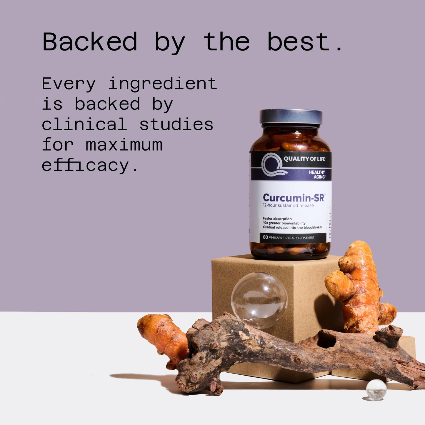 Quality of Life Curcumin-SR Healthy Aging, Inflammation Support 60 Capsules