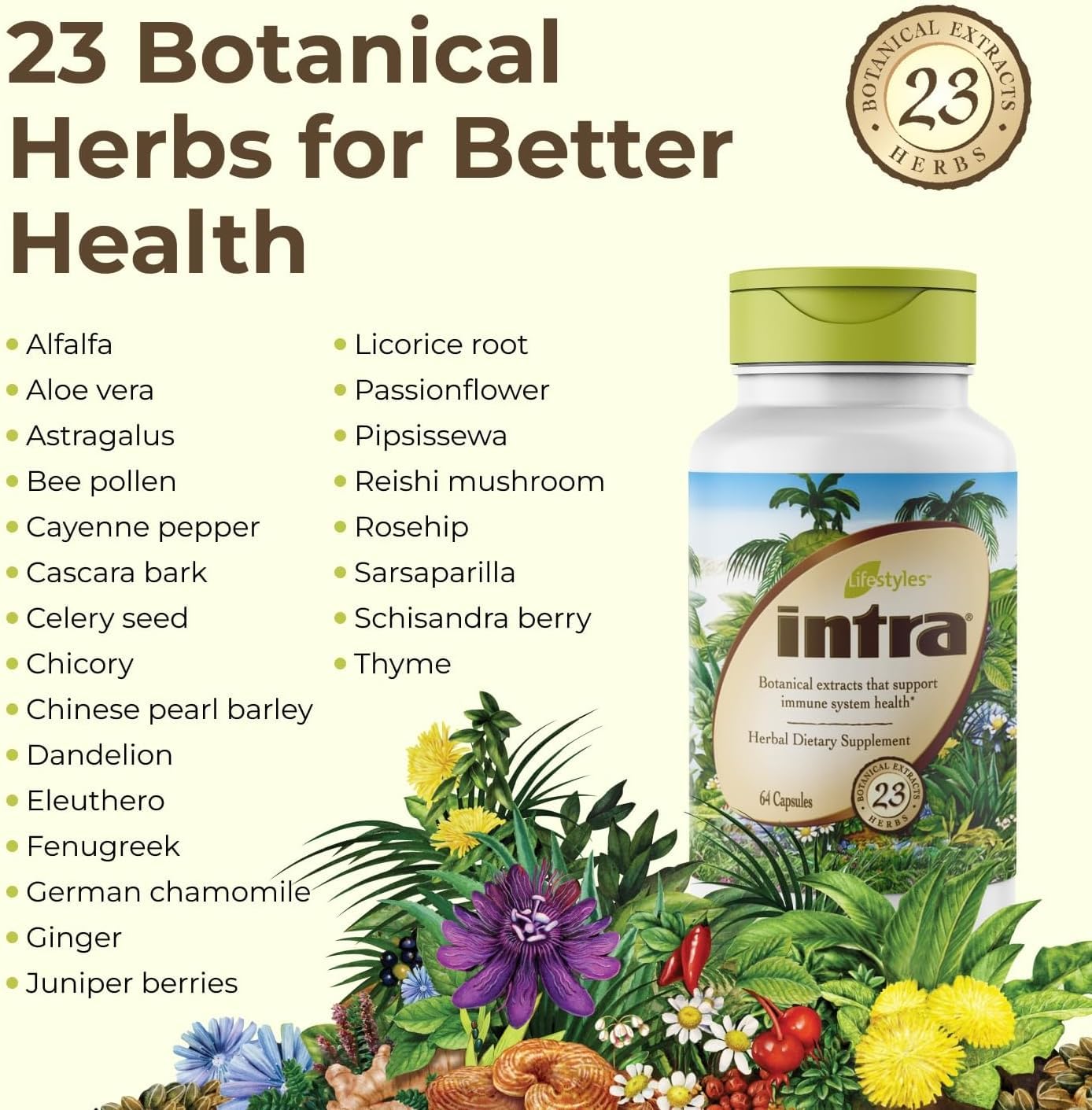 Intra Lifestyles Capsules 256 Capsules (Pack of 4)