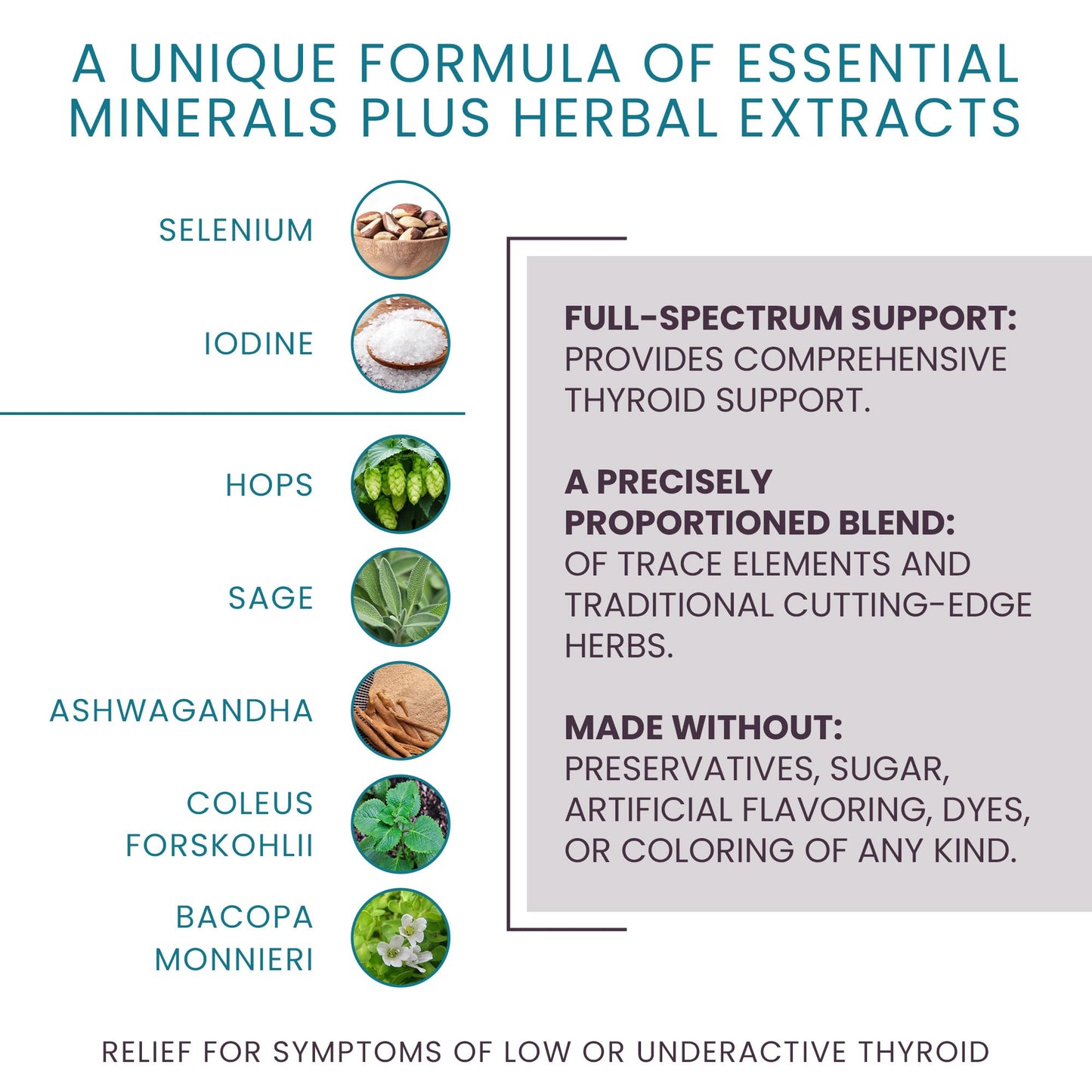 Women's Health Network T-Balance Plus Herbal Thyroid Support for Women, Thyroid Metabolism Supplement with Selenium, Iodine and Ashwagandha, Natural Thyroid Support Capsule 60 Count