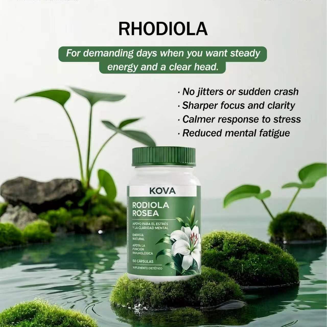 JcuffJ KOVA Rhodiola Rosea 500mg Capsules 60 Count