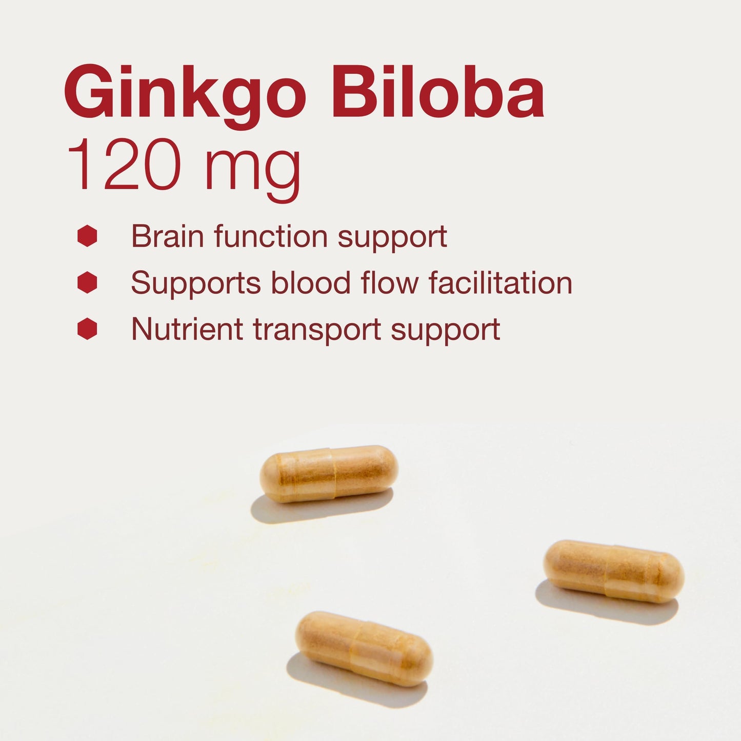 Protocol for Life Balance Ginkgo Biloba 120mg Brain Health Capsules 100