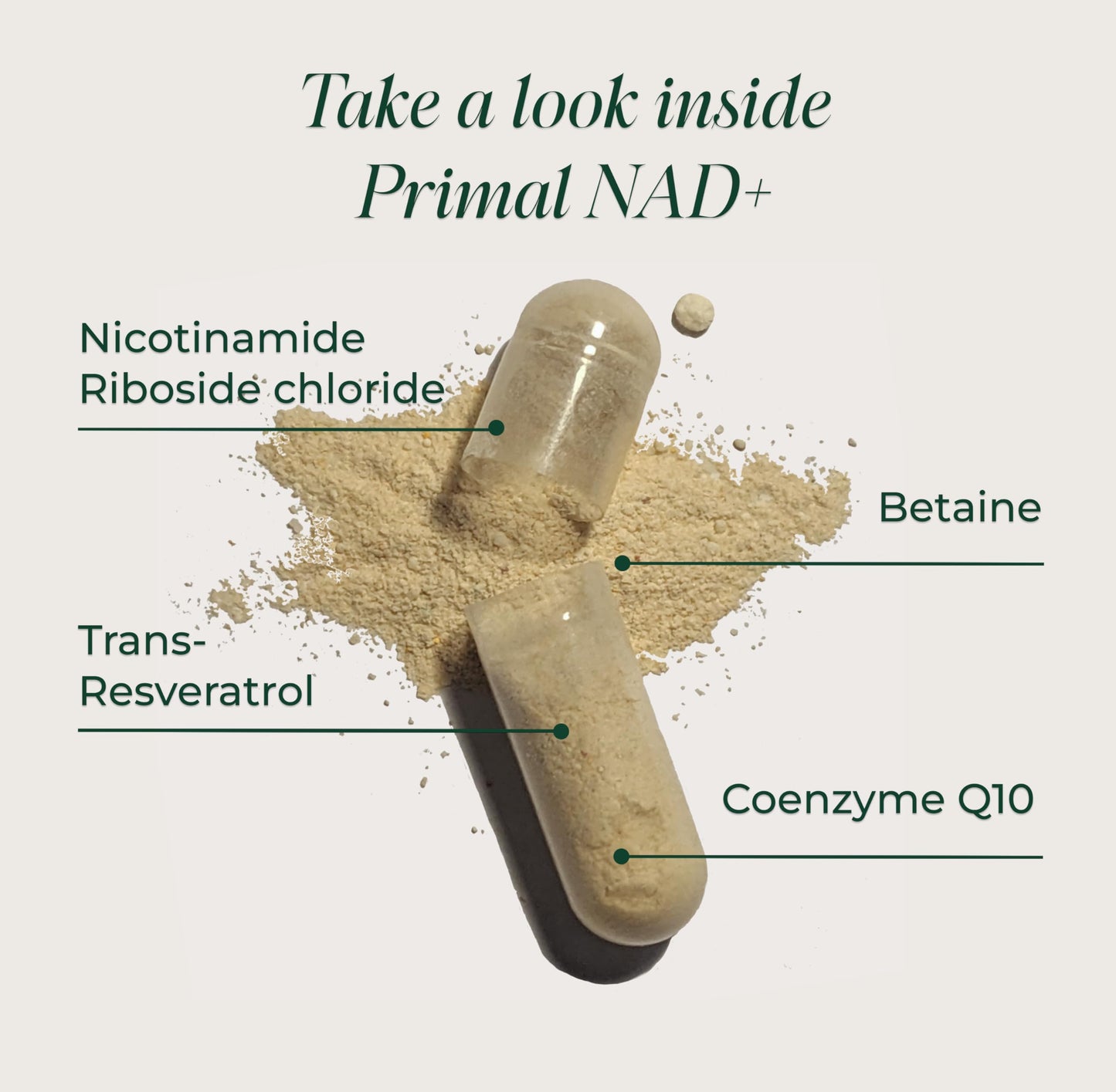 Primal Harvest NAD+ Supplement Capsule 60 Count