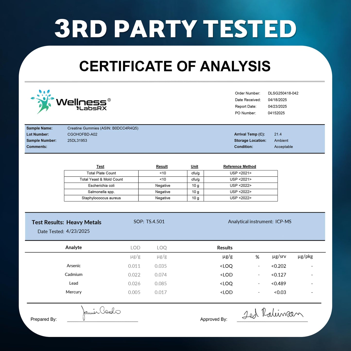WELLNESS LABSRX Creatine Monohydrate Gummy 60