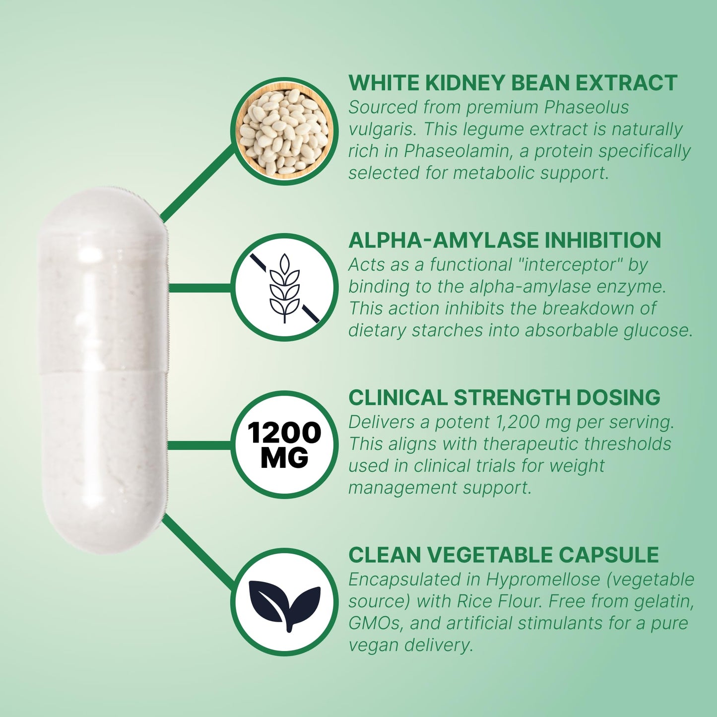 DIPO HEALTH HARMONY White Kidney Bean Extract Carb Blocker Capsules, 60 Count
