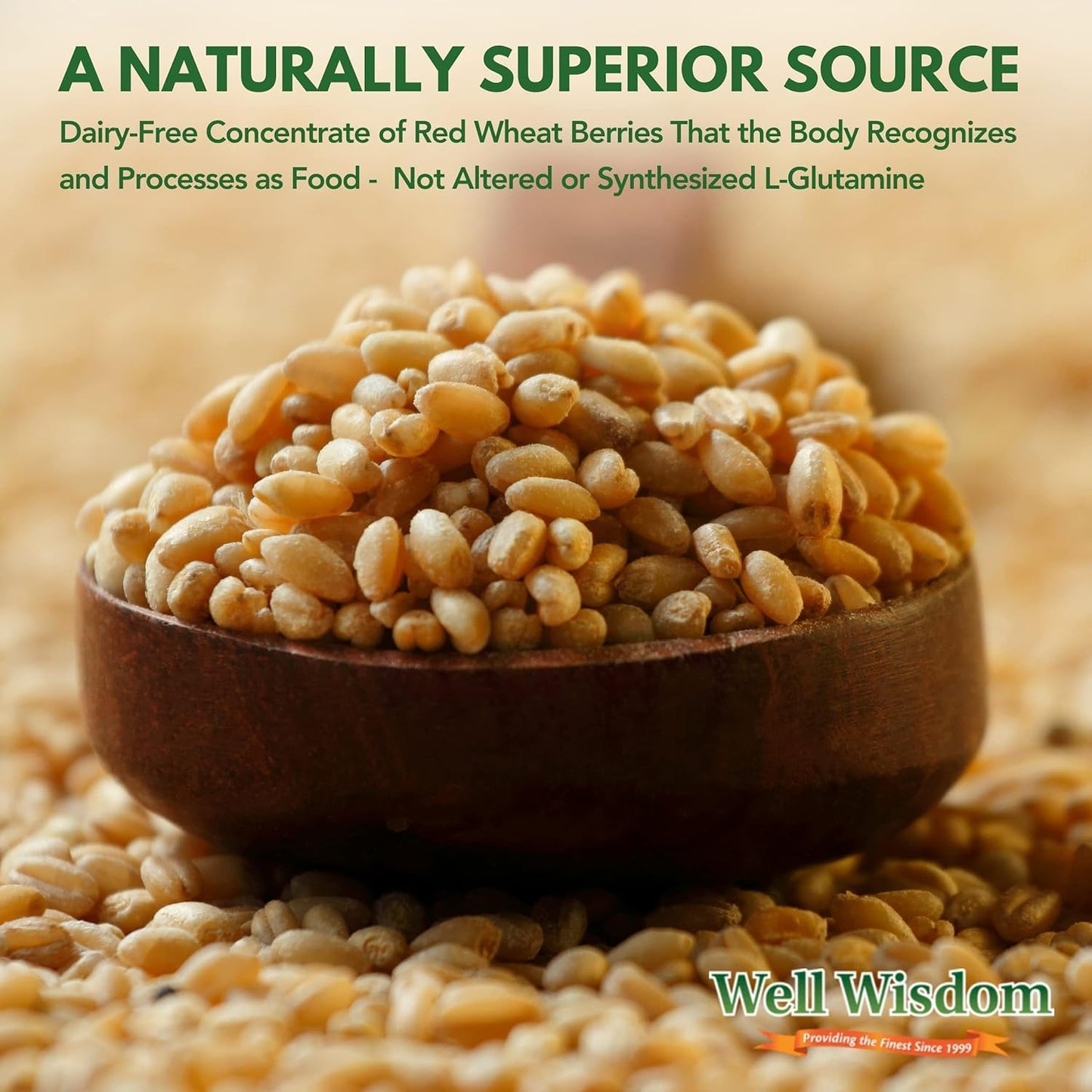 Well Wisdom Proteins Glut Immune L-Glutamine Powder, 10.6 Ounce