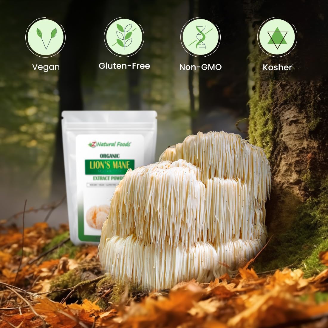 Z Natural Foods Organic Lion’s Mane Mushroom Extract Powder 16 oz