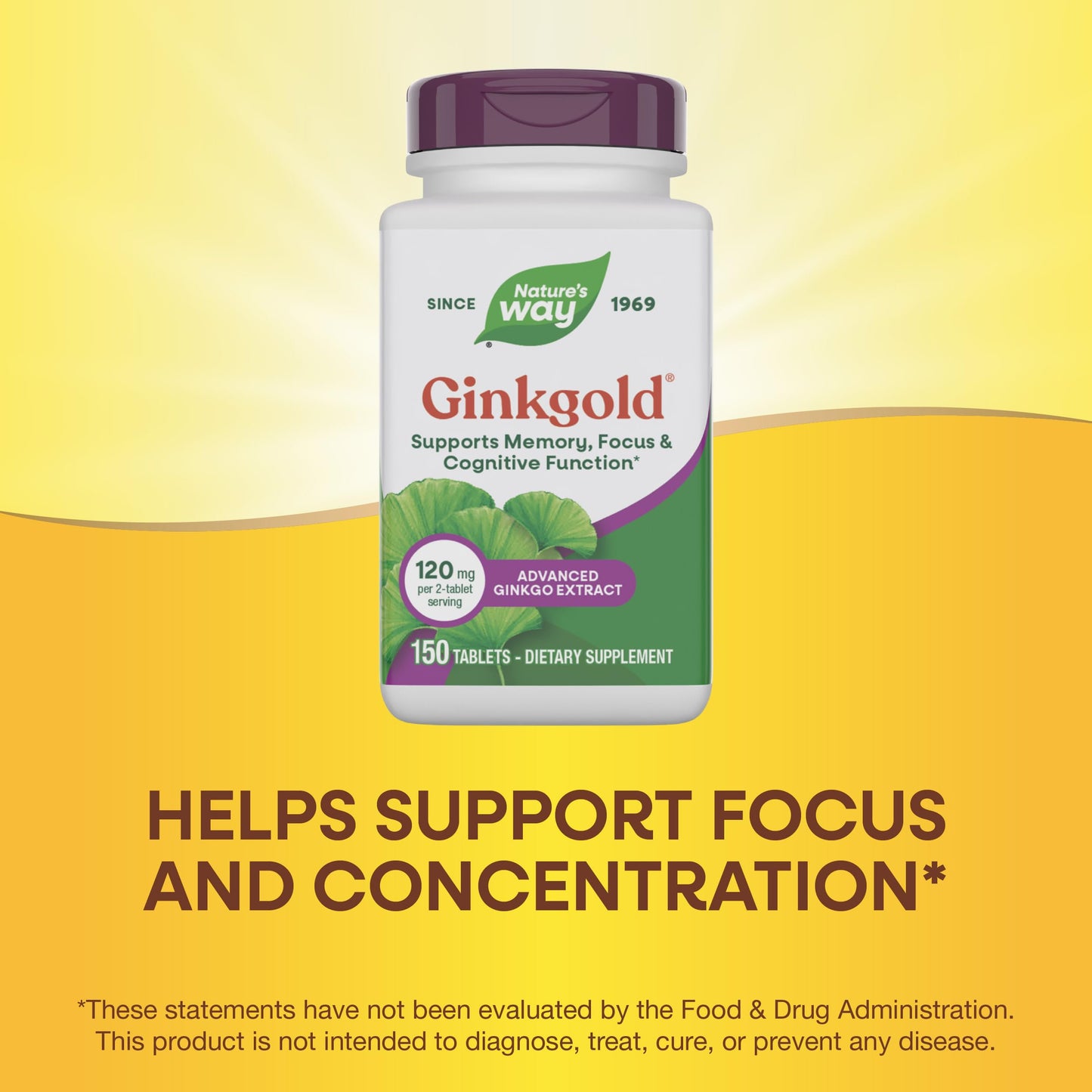 Nature's Way Ginkgold Advanced Ginkgo Biloba Extract 150 Tablets
