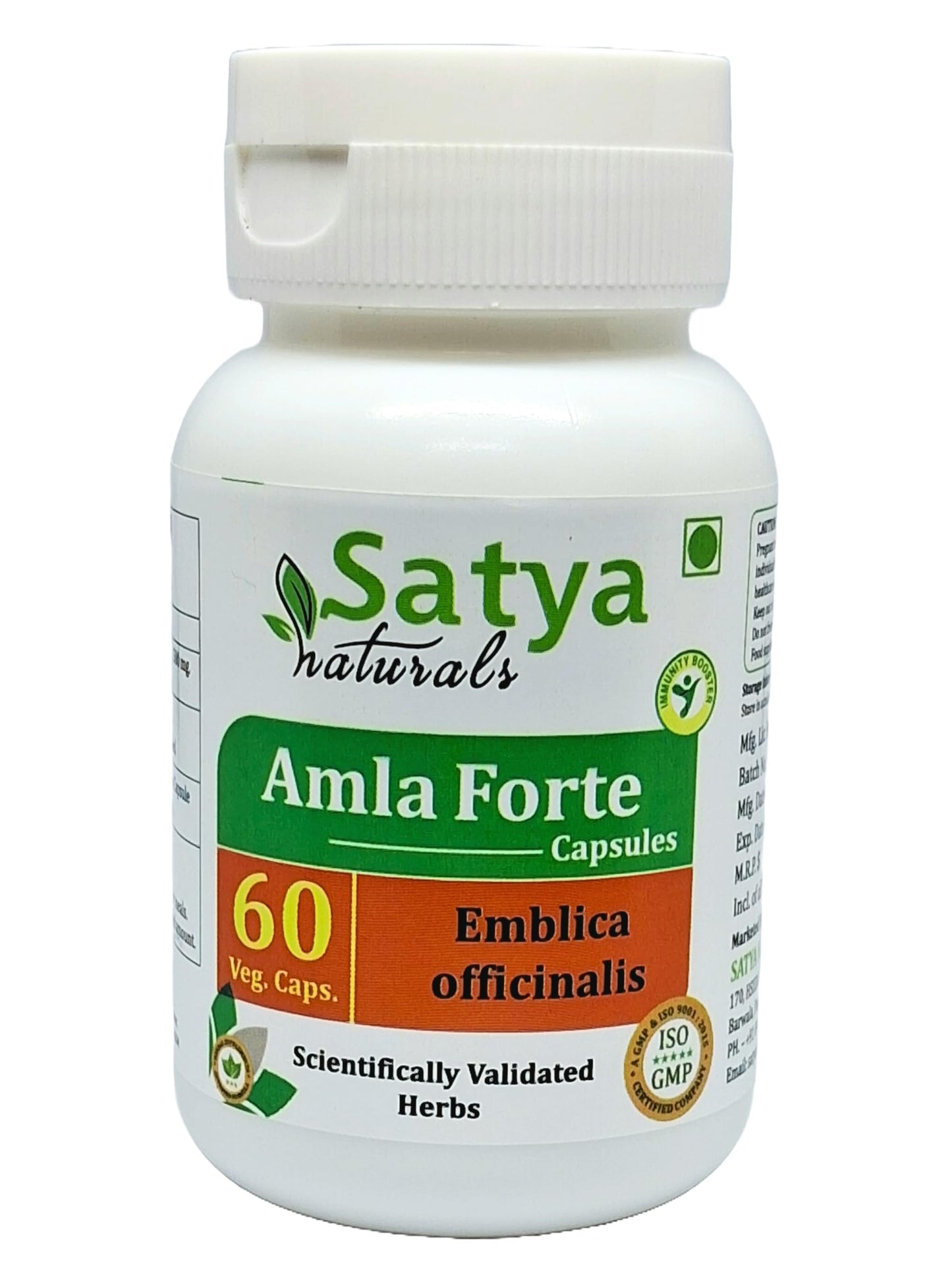 Satya Naturals Amla Forte Capsules 500 mg, 240 Capsules