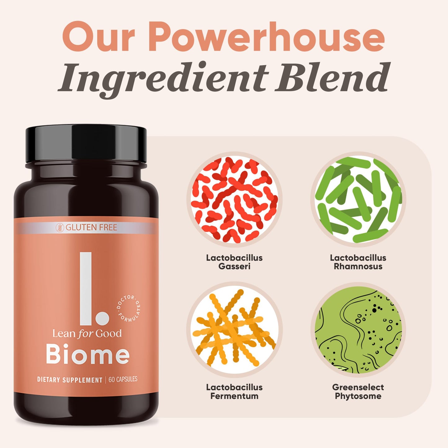 LEANFORGOOD Biome 9-Strain Probiotic Formula with Greenselect Phytosome, 60 Capsules