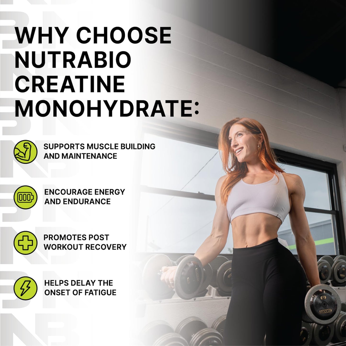 NutraBio Pure Micronized Creatine Monohydrate Powder 17.6 oz