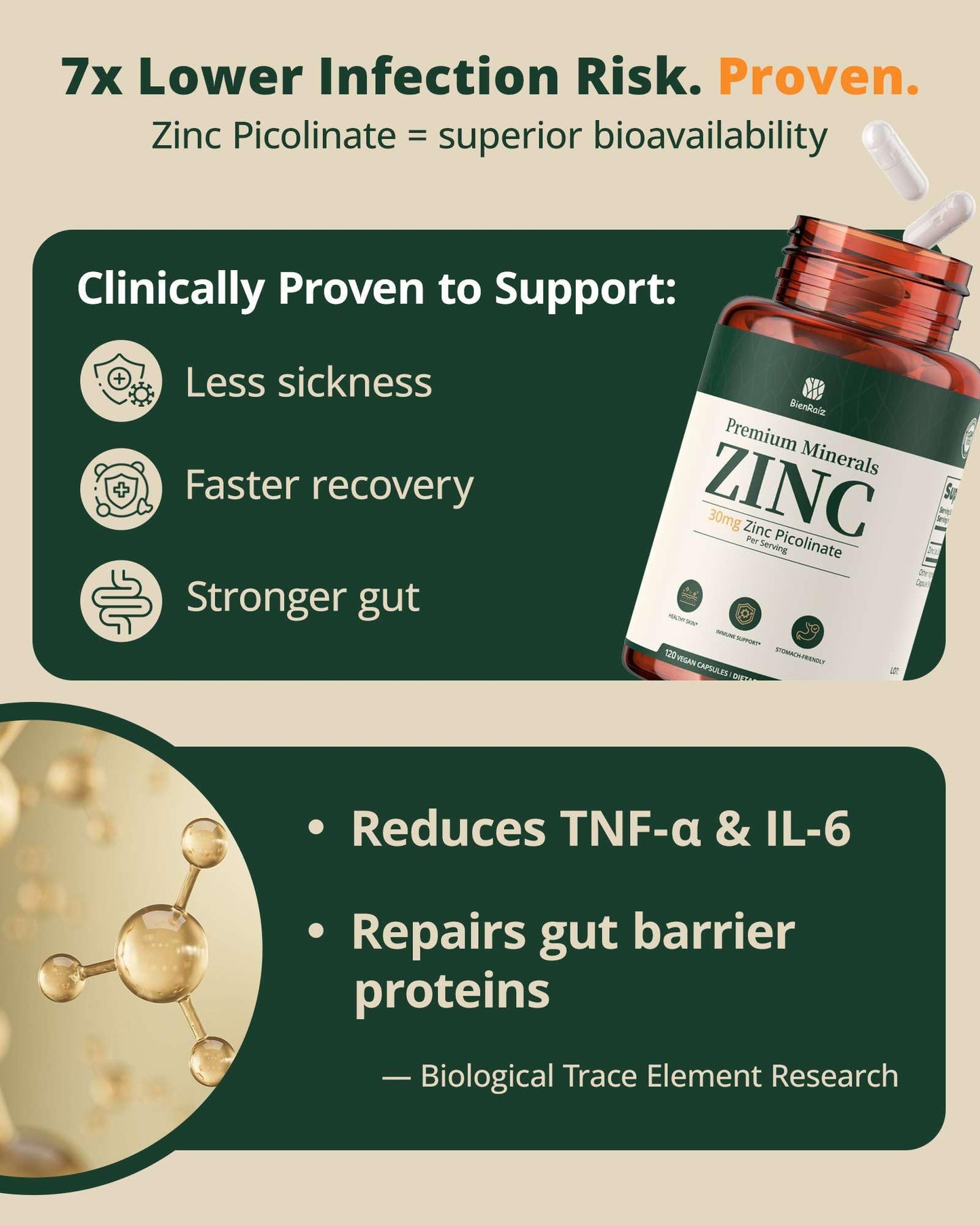 BienRaíz Zinc Picolinate 30mg Supplement, 120 Capsules