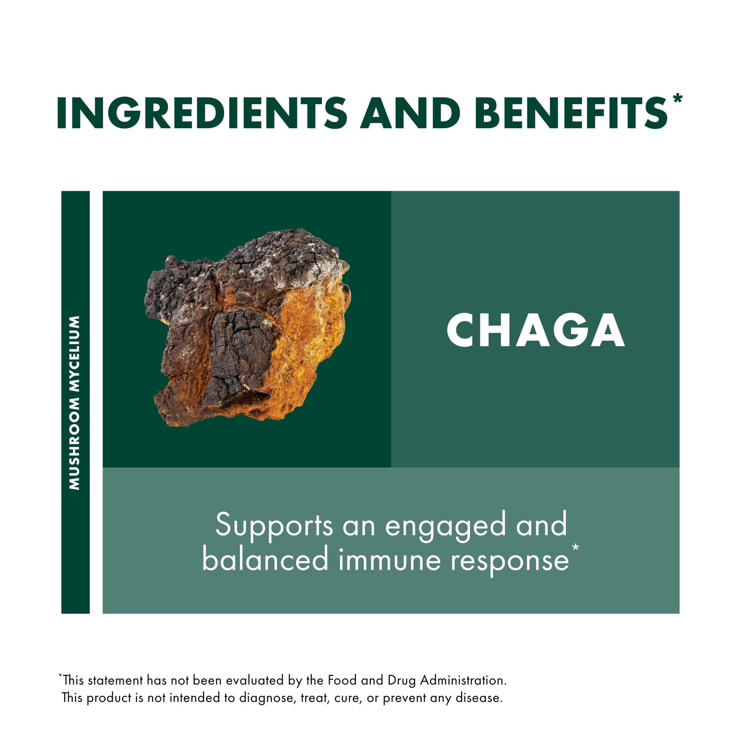 Host Defense Chaga Powder 3.5 oz
