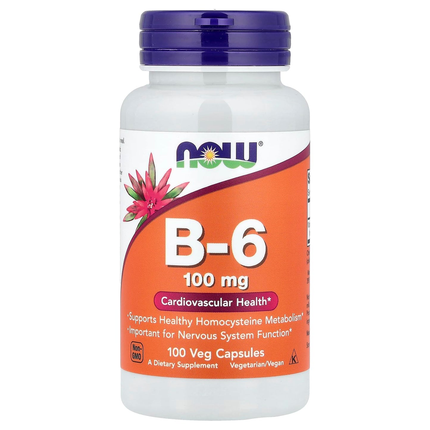 NOW Foods B-6 100mg Capsule 100 Count