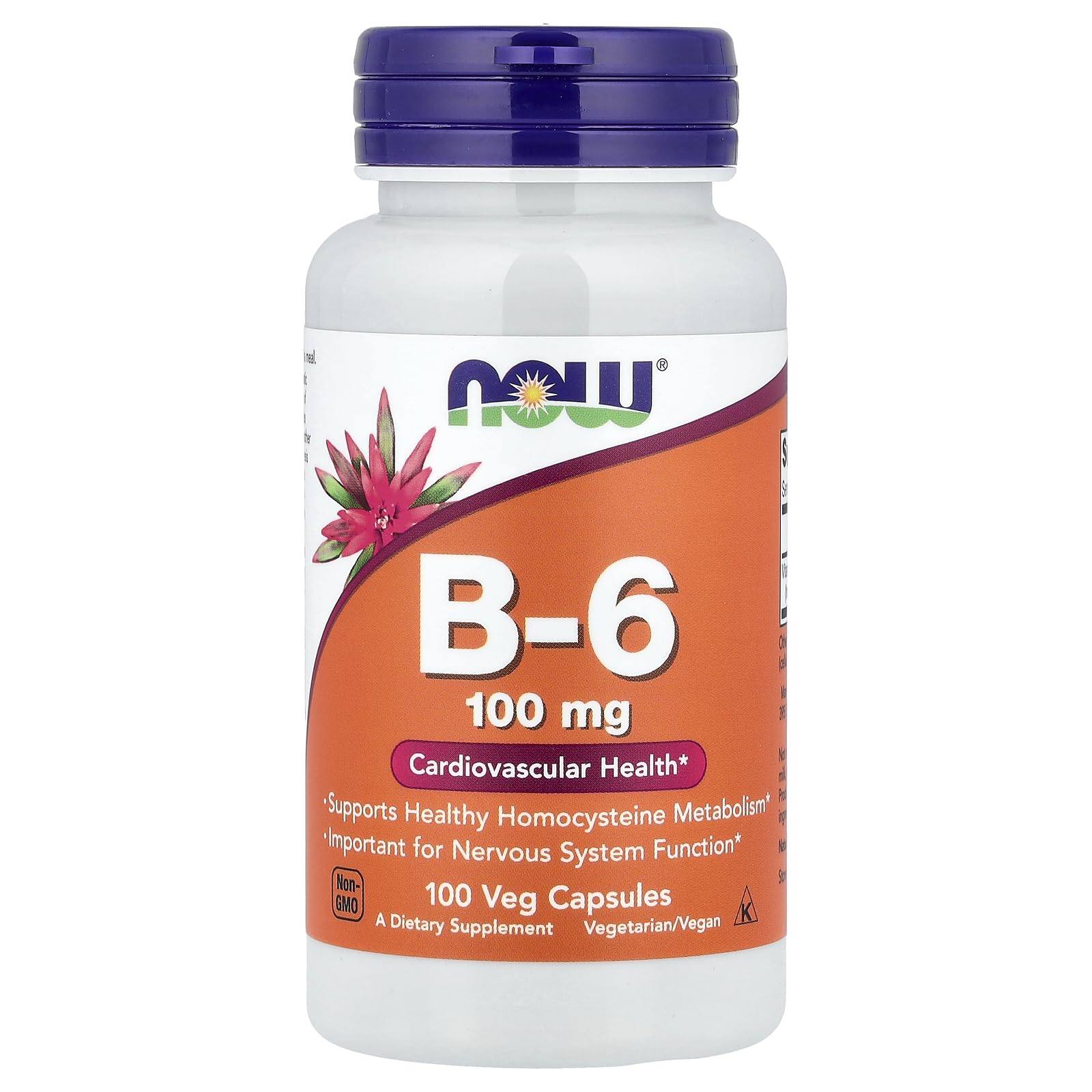 NOW Foods B-6 100mg Capsule 100 Count