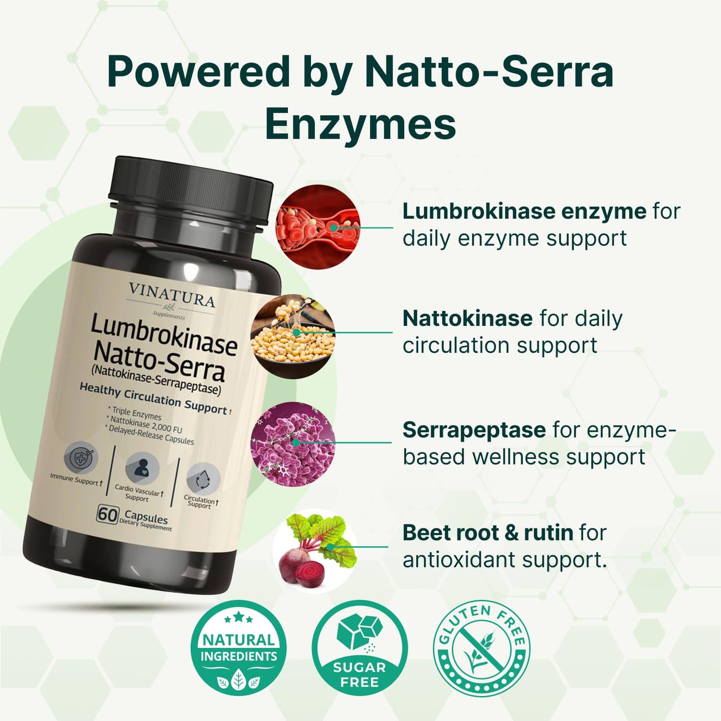 VINATURA Lumbrokinase Serrapeptase Nattokinase 2000 FU Enzymes Supplement for Blood Circulation Support, 60 Capsules