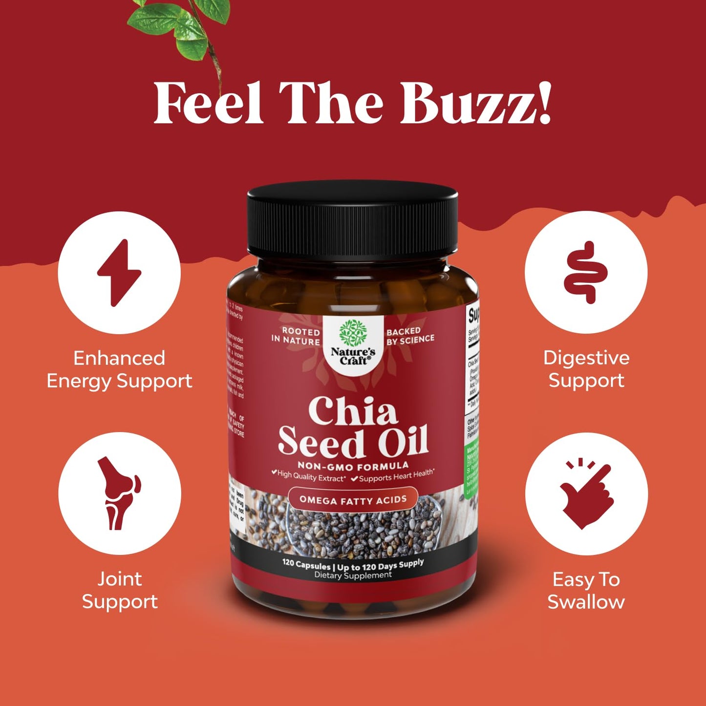 Natures Craft Chia Seed Oil Extract, Omega-3-6-9 Supplement, 120 Capsules
