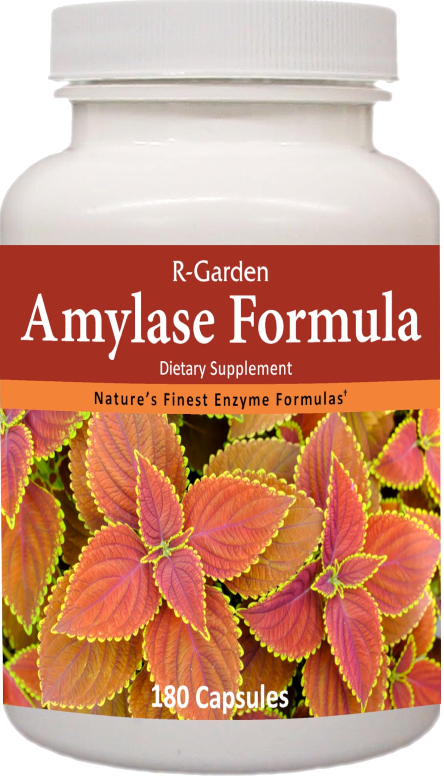 R-Garden Amylase Formula Capsules, 180 Count