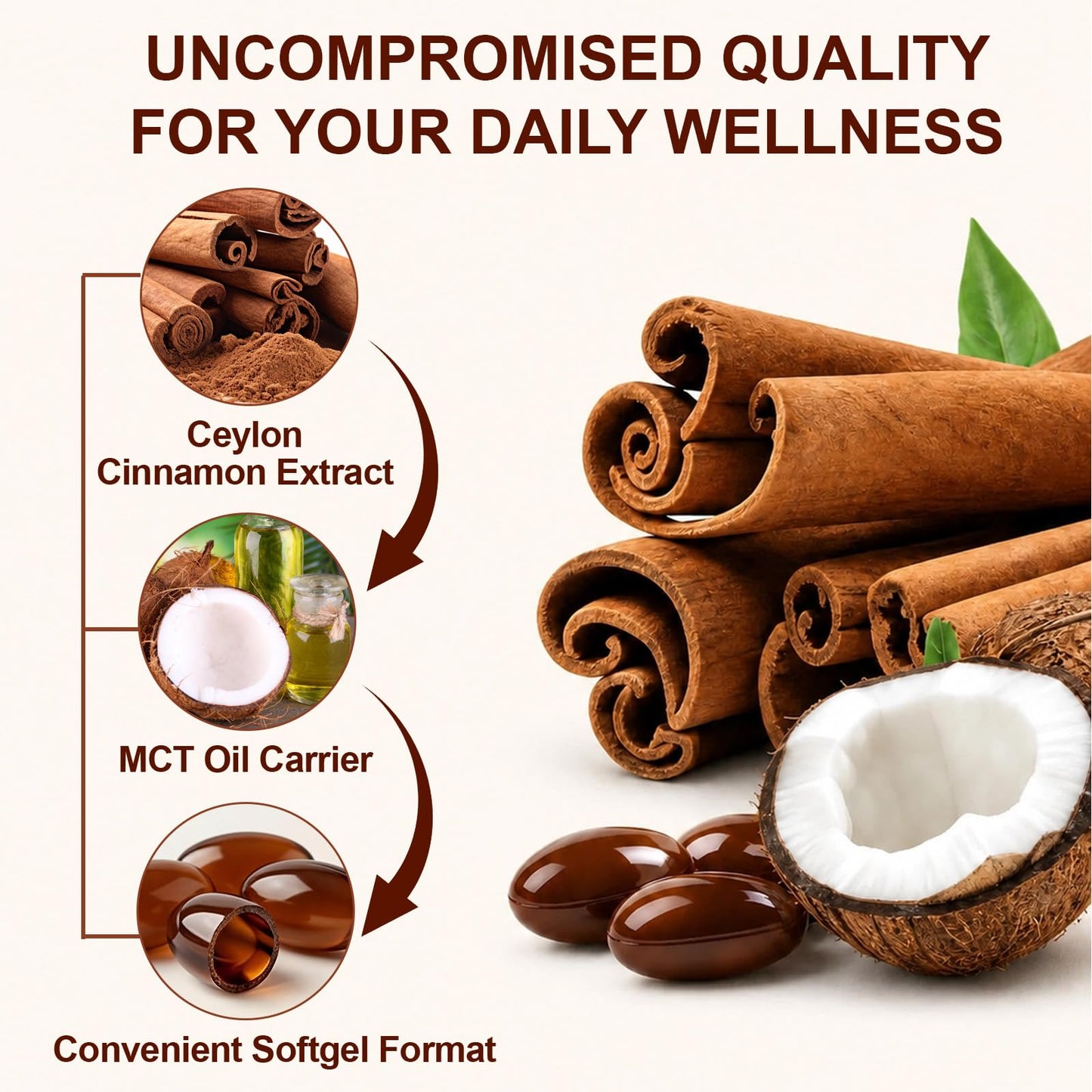 Peesnb Ceylon Cinnamon Softgels with MCT Oil 300 Count