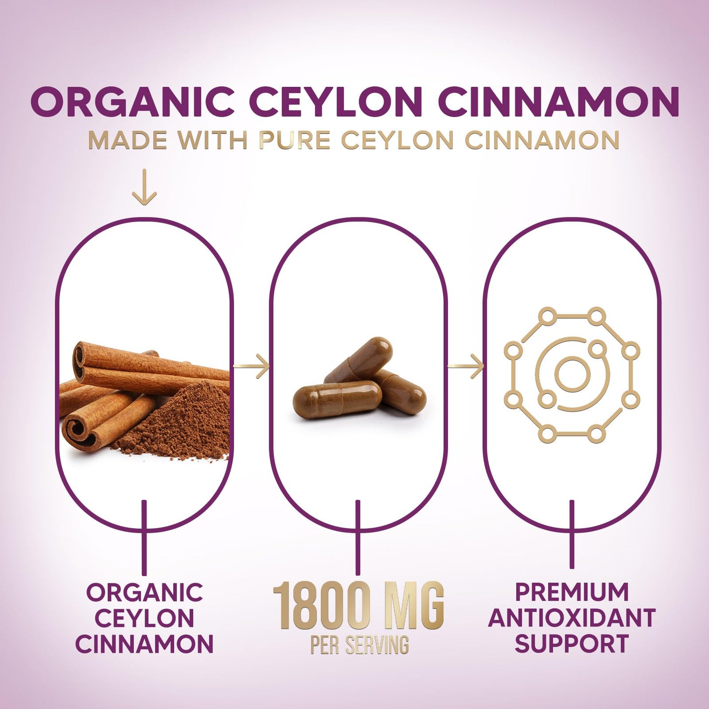 Nature's Choice Ceylon Cinnamon Capsules, 120 Capsules