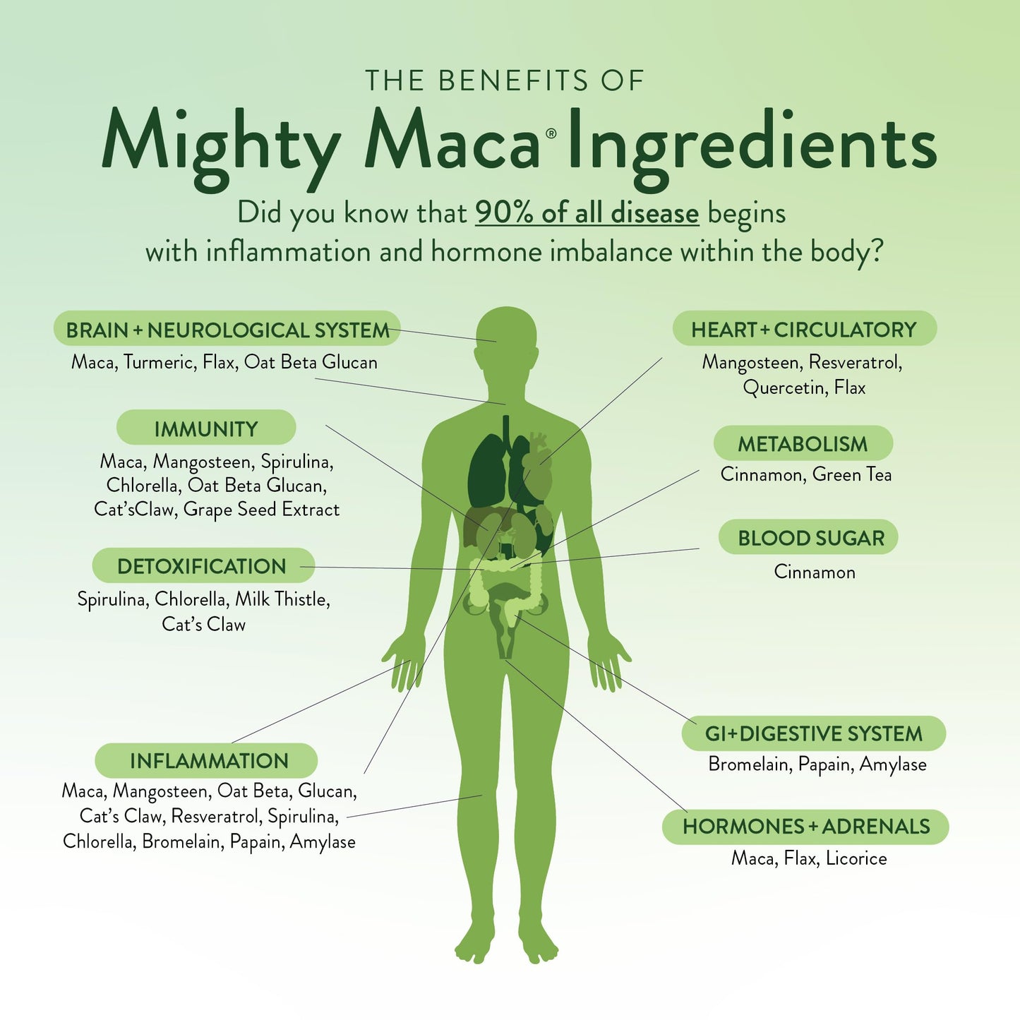 VIDAPURA Mighty Maca Plus Mango Powder 3.4 oz