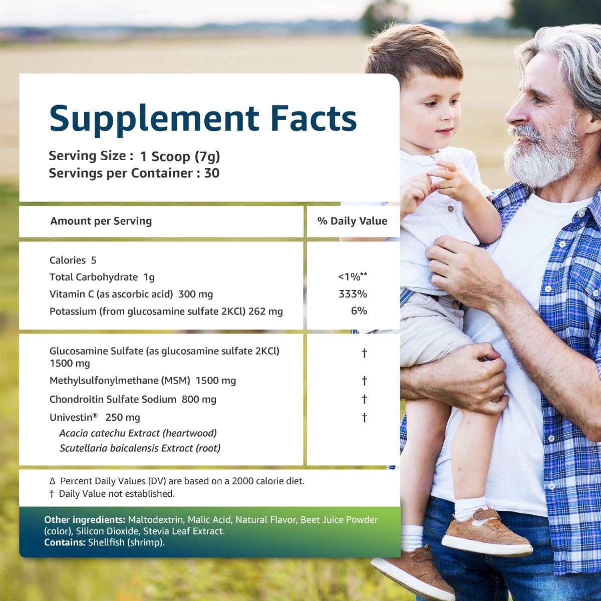 Univera RegeniCARE Green Apple Glucosamine Chondroitin MSM Univestin Joint Health Joint Support Mobility + Flexibility Powder, 7.4 Ounce