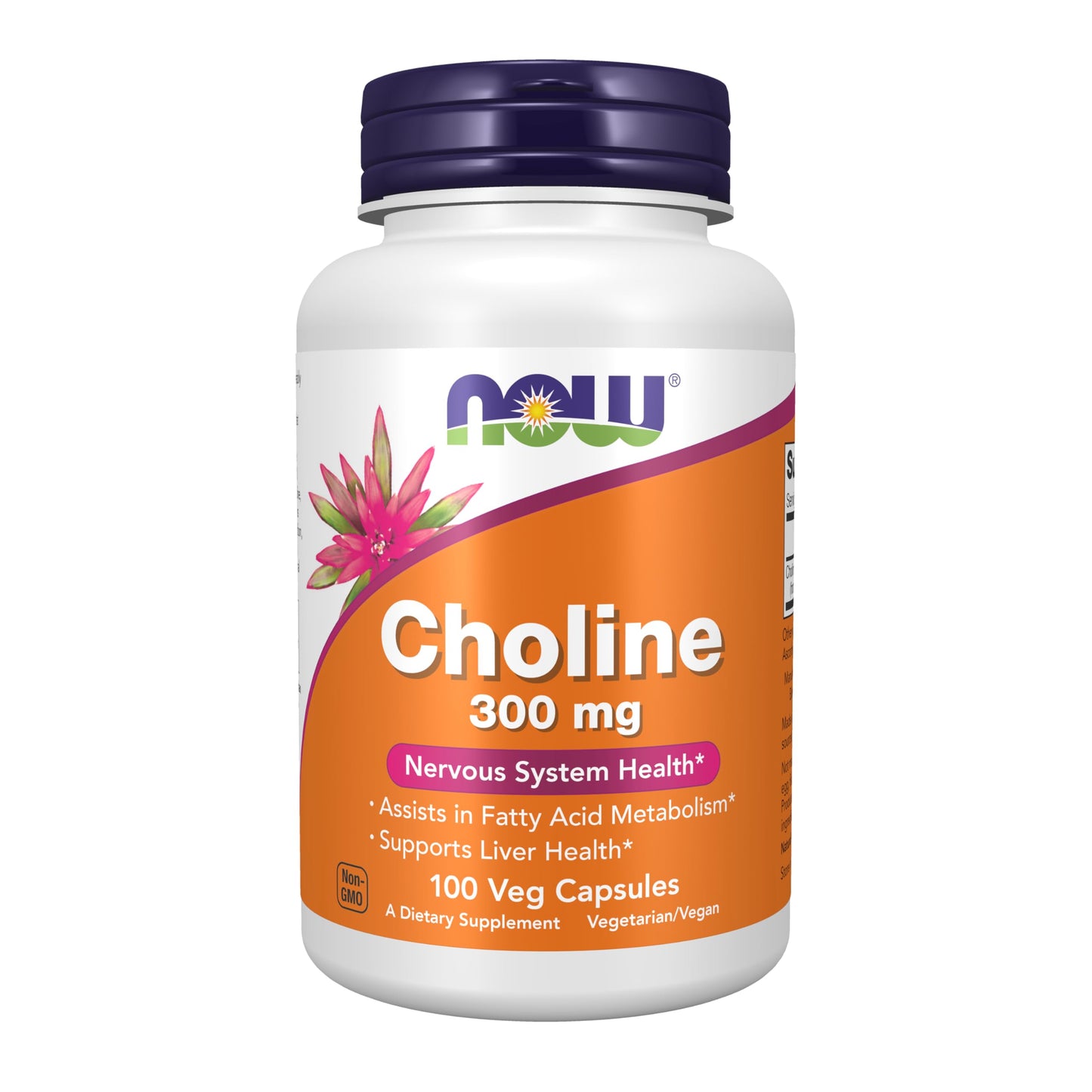 NOW Foods Choline 300 mg Capsule, 100 Veg Capsules