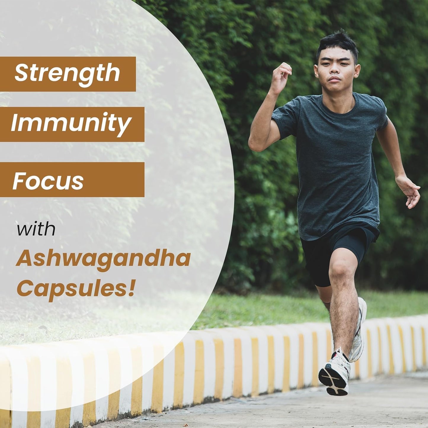 Nutrastic Pure Ashwagandha Capsules 500mg, 60 Count