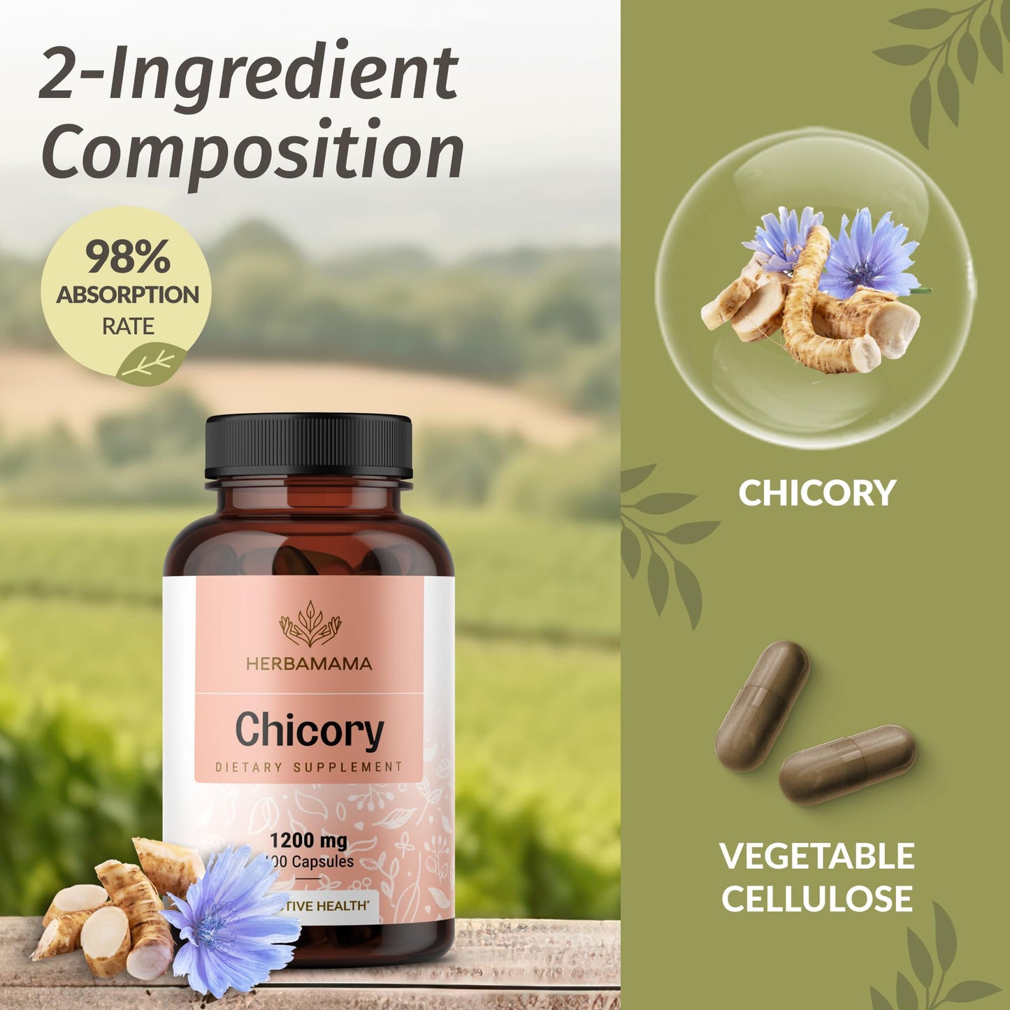 HERBAMAMA Chicory Root Fiber Capsule 100 Count