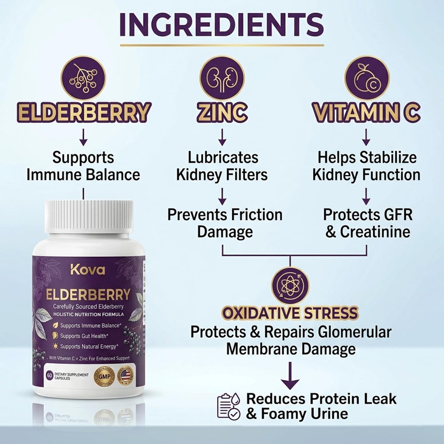 XRFOHCE Kova Elderberry Capsule 60 Count