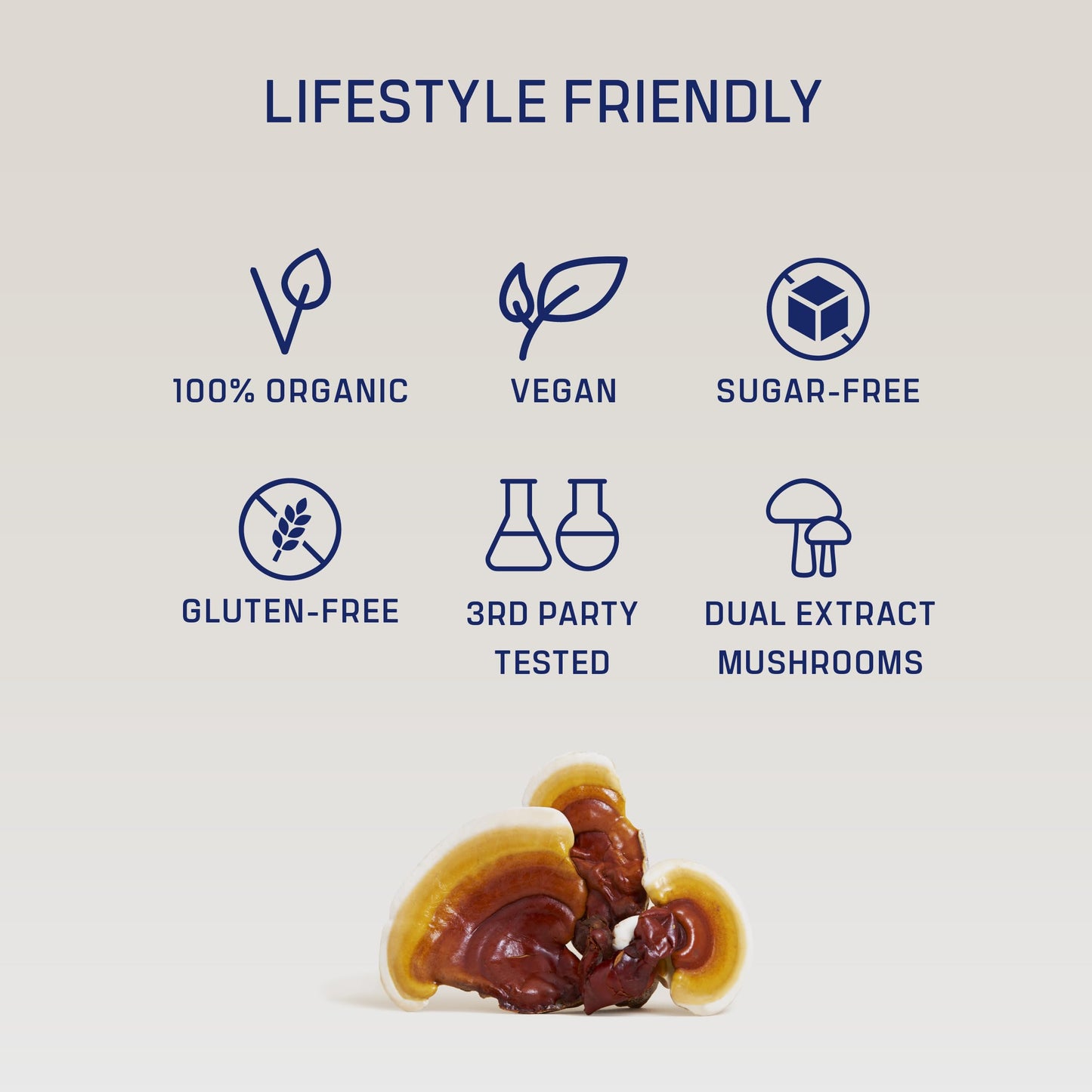 DIRTEA Reishi Mushroom Powder 2,000mg per Serving, 60g, 30 Servings