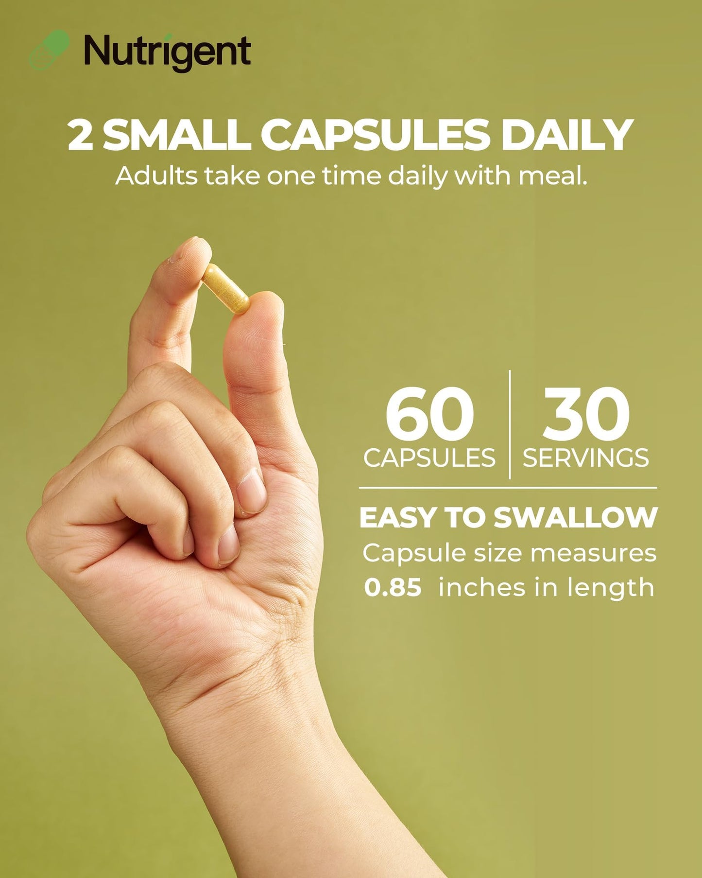 Nutrigent USDA Organic KSM-66 Ashwagandha 600mg with Organic L-Theanine, Turmeric & Black Pepper, Supports Calm, Focus, Relaxation & Overall Well-Being, 60 Capsules
