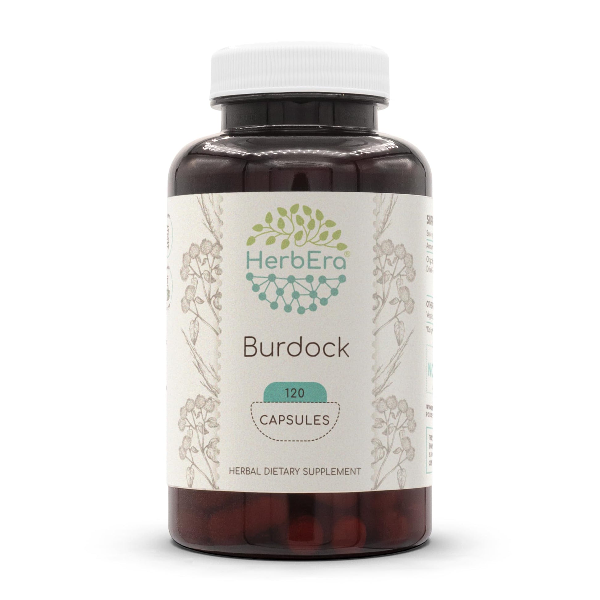 HerbEra Burdock 500 mg Capsules, 120 Count