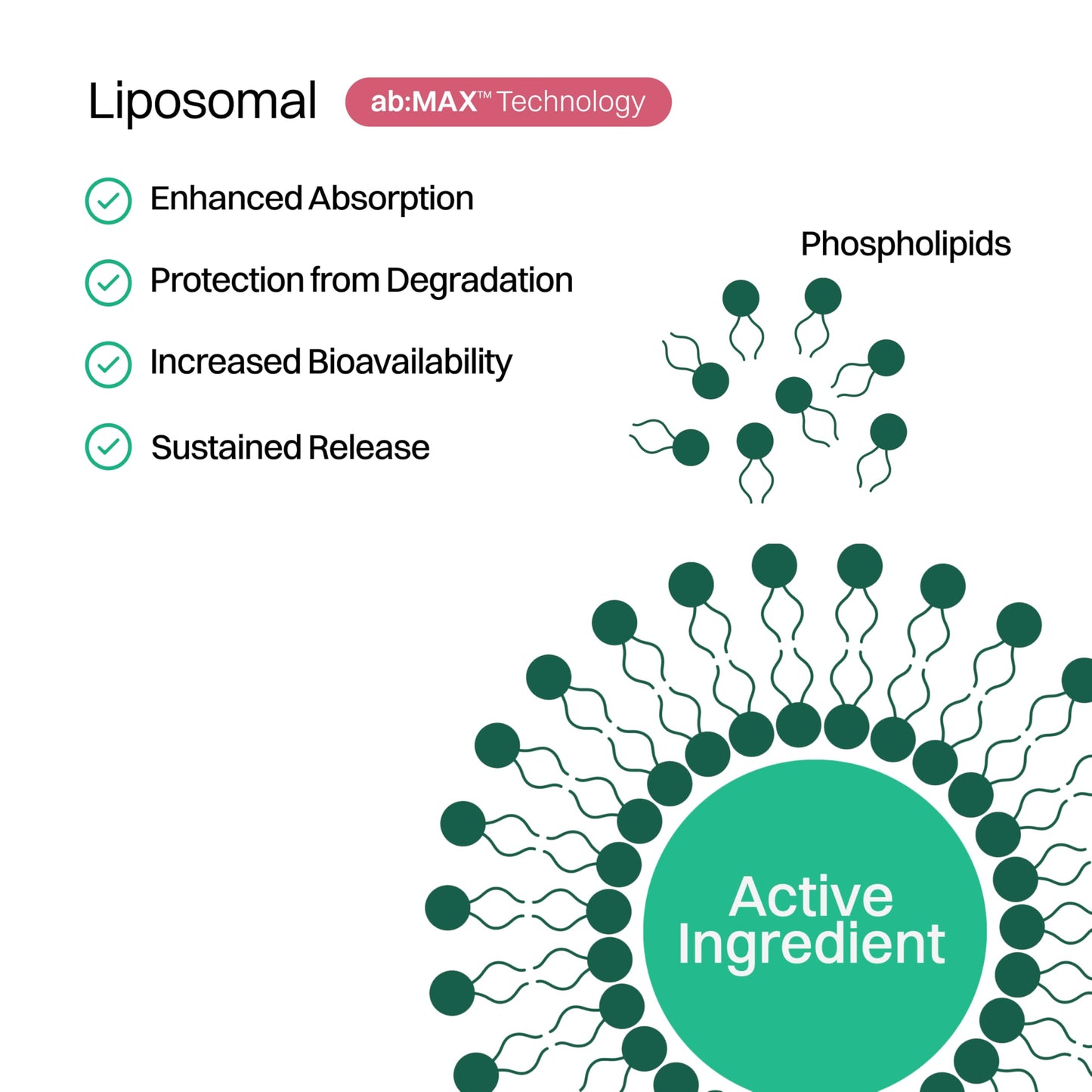 Haroutine Liposomal Hair, Skin & Nails Gummies, 30 Count