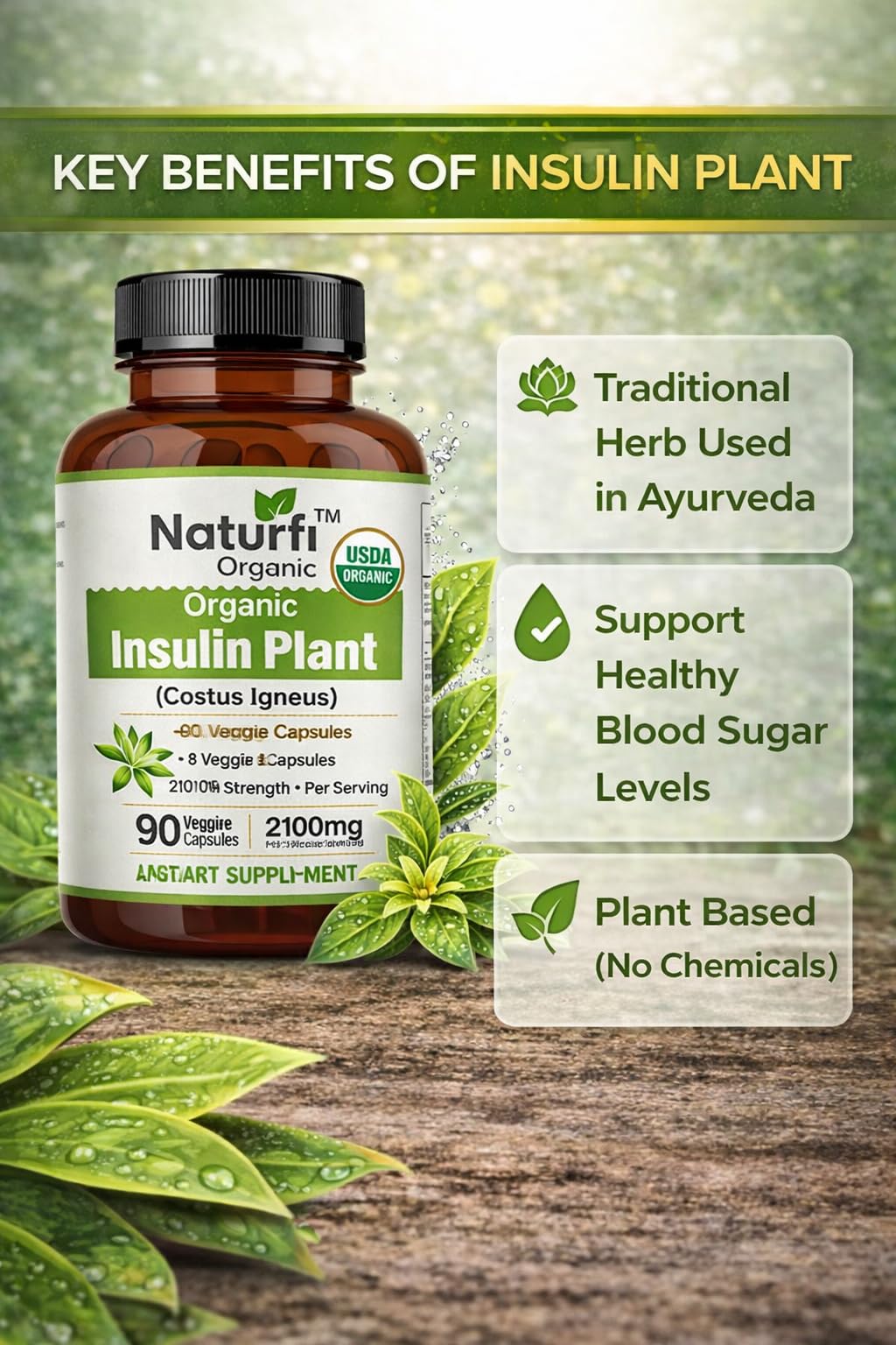 Naturfi Organic Insulin Plant Capsules 90 Count