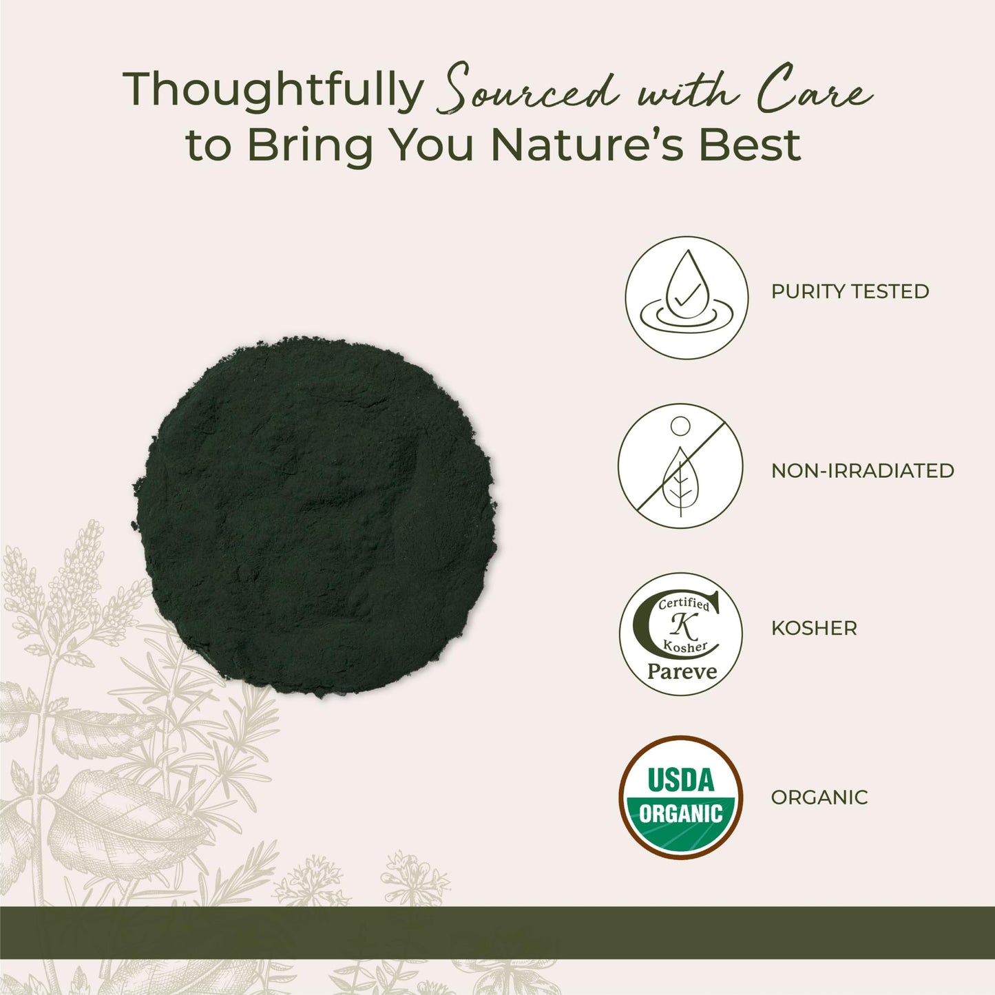Starwest Botanicals Spirulina Powder Organic Non-GMO 16 Ounce