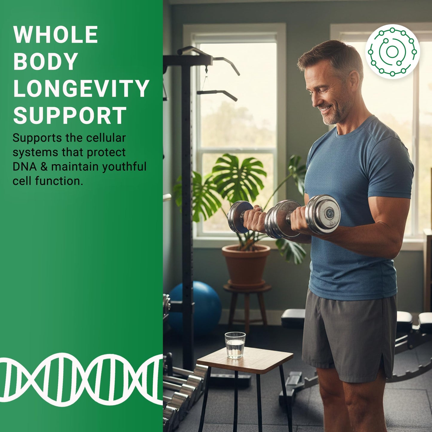 GenuinePurity Longevity+ 5-in-1 Cellular Wellness Formula with NMN, Cycloastragenol, CoQ10, Resveratrol & Selenium, 60 Capsules