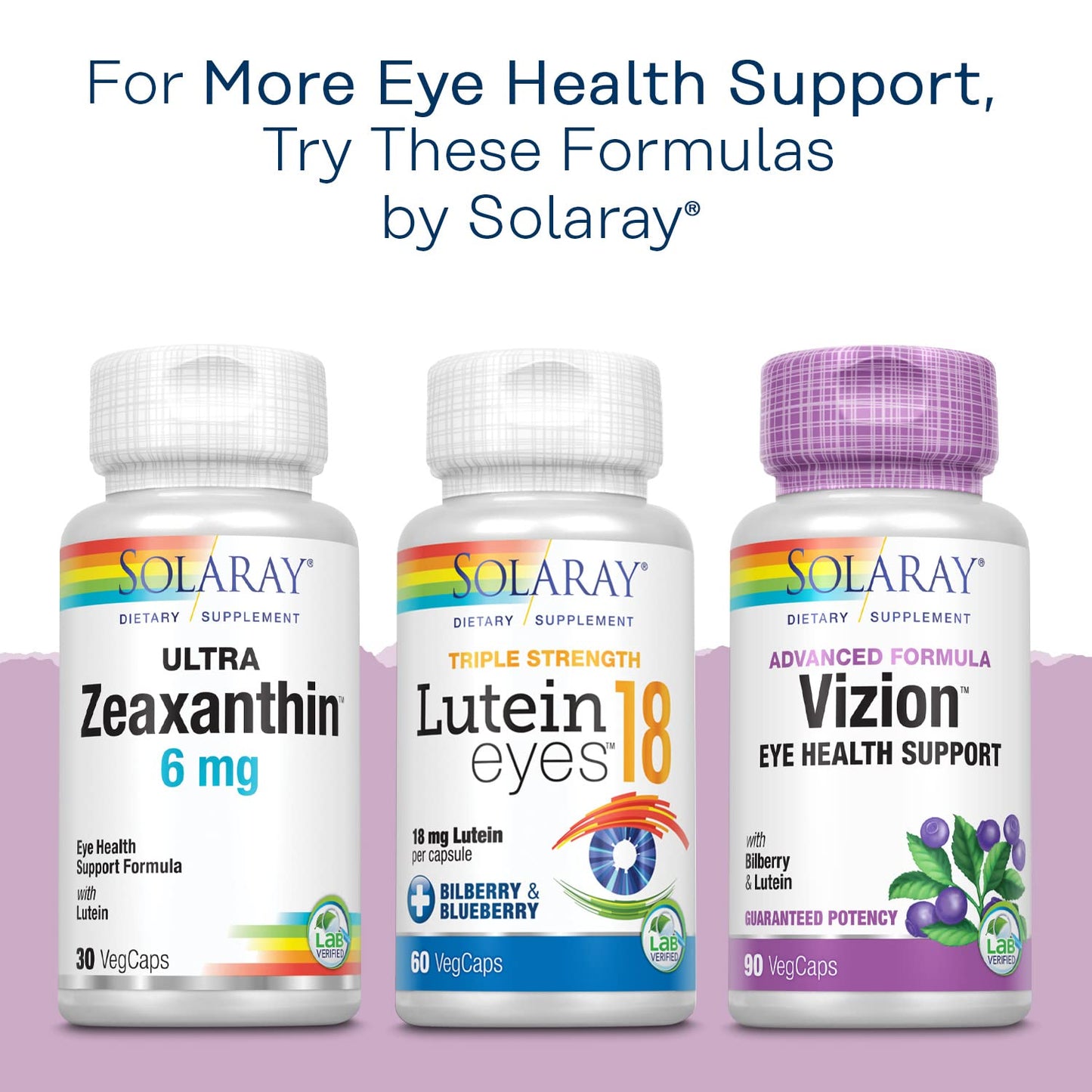 Solaray Bilberry Extract 160 mg Eye Health & Circulation Support, 36% Anthocyanosides Plus Blueberry, Capsules 30