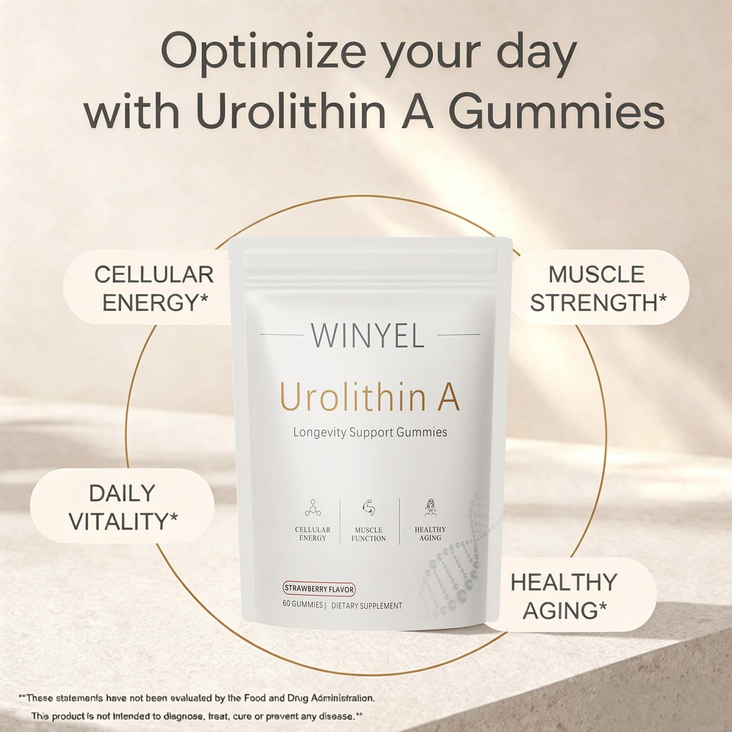 WINYEL Urolithin A Supplement Gummies 500mg with Trans-Resveratrol, CoQ10 Mitochondrial & Cellular Energy Support, 60 Count