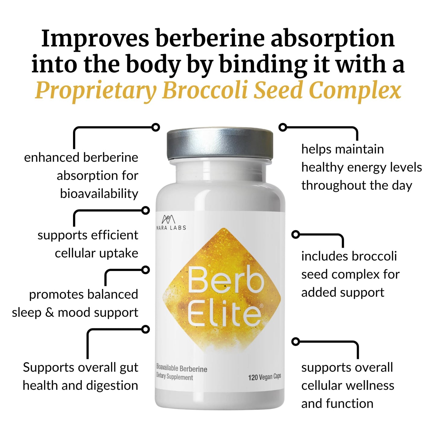 BrocElite BerbElite 350mg Berberine HCl & Broccoli Seed Complex Capsules, 120 Count
