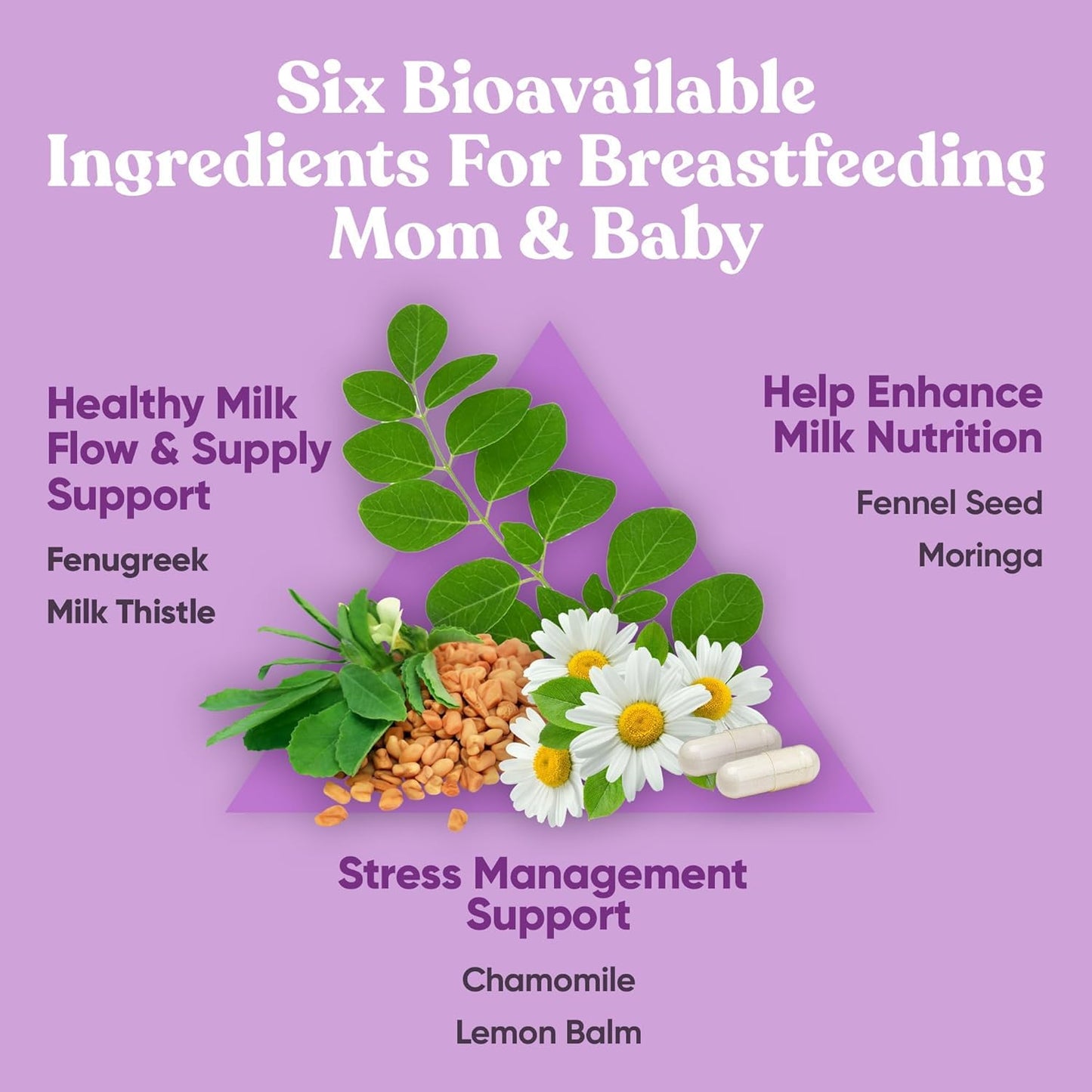 Eu Natural Lactation Supplement Milk Supply Support for Breastfeeding 60 Capsules