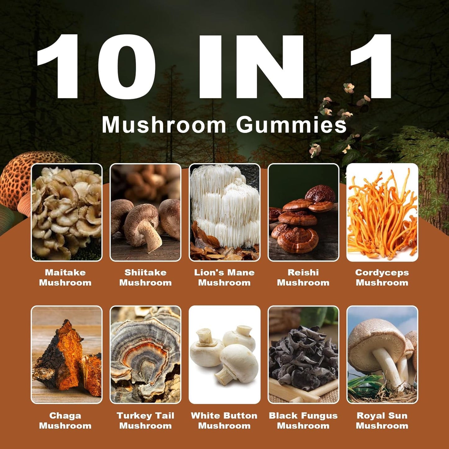 RTMGOB Mushroom Gummies 60 Count