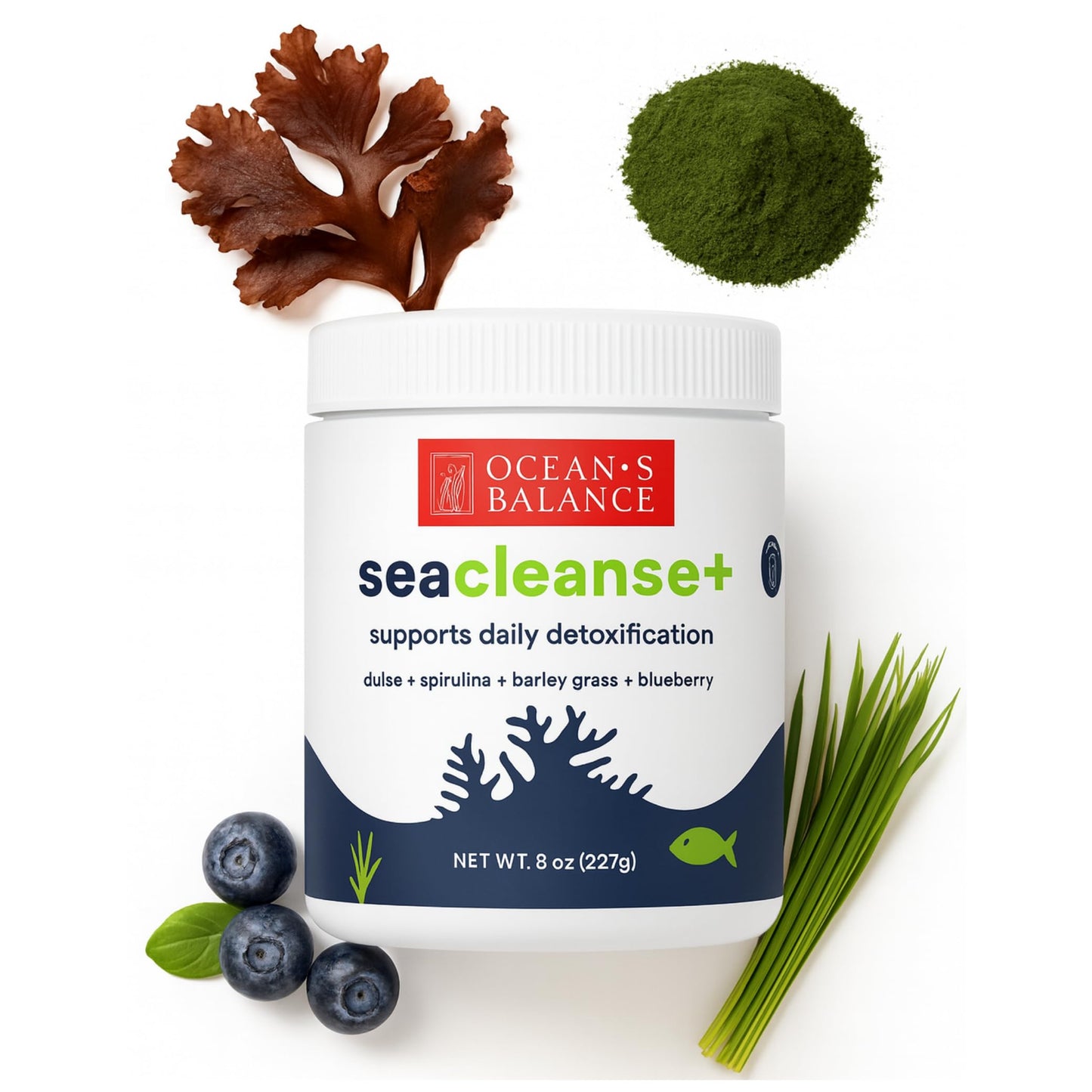Ocean's Balance Clean Taste of Maine Seacleanse+ Daily Detox Cleanse Powder 8oz
