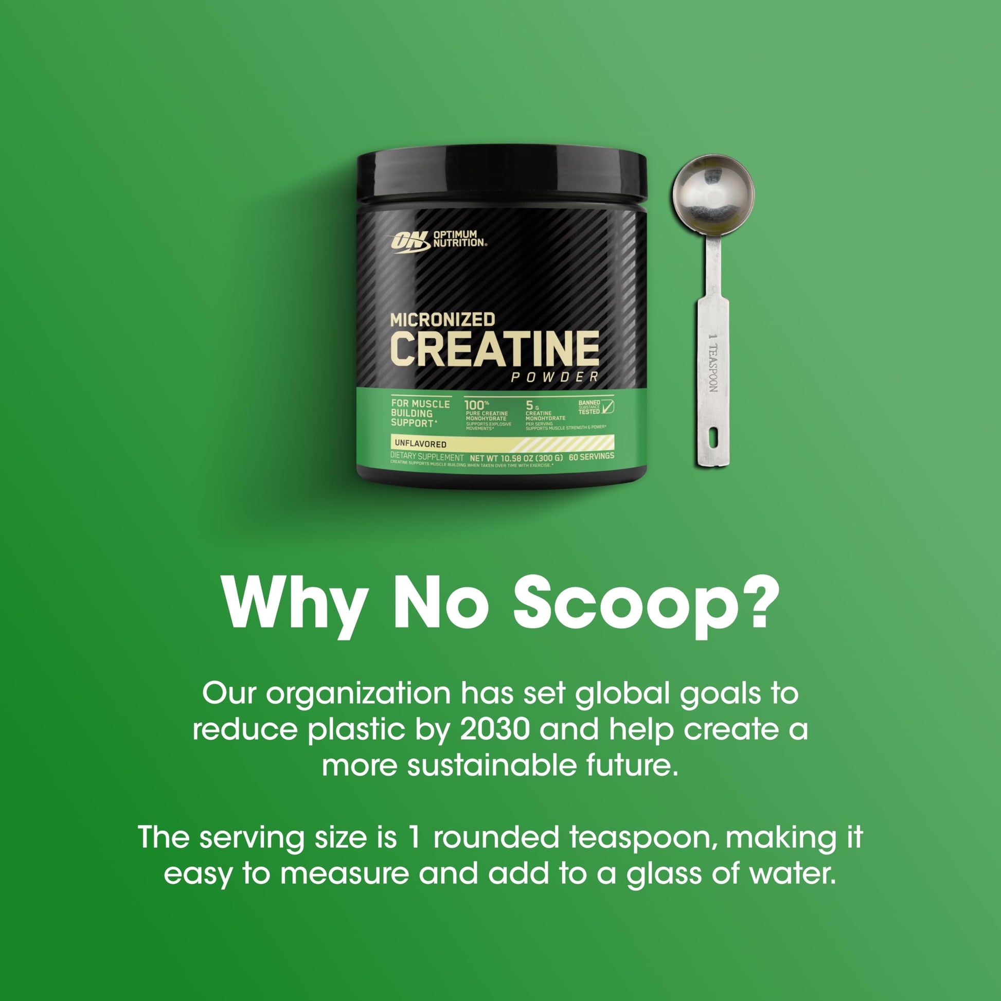 Optimum Nutrition Micronized Creatine Monohydrate Powder 10.6