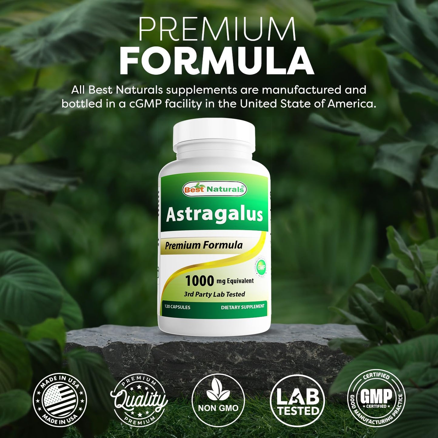 Best Naturals Astragalus Capsule, 1000 mg, 120 Count