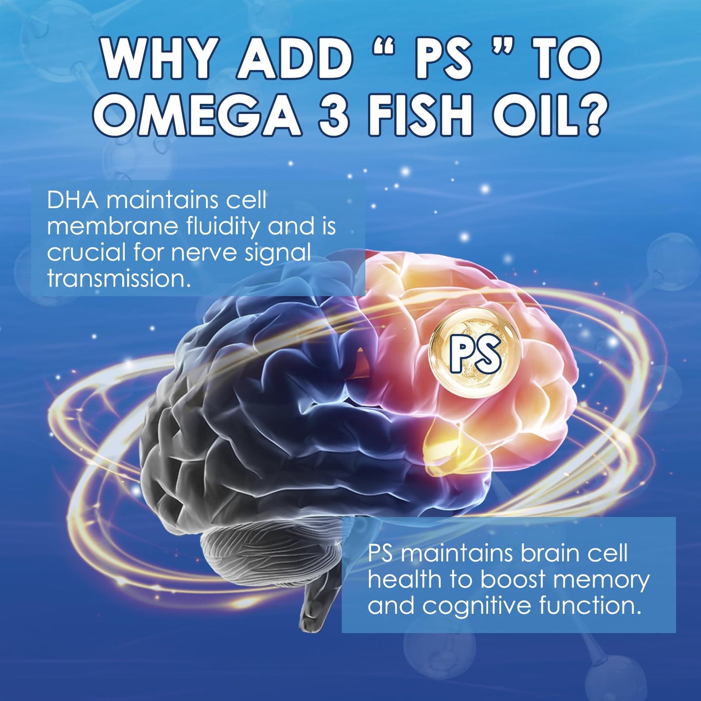 NATURE TARGET Omega 3 Fish Oil 2000mg EPA DHA with PS & CoQ10 Non-GMO Softgels 120