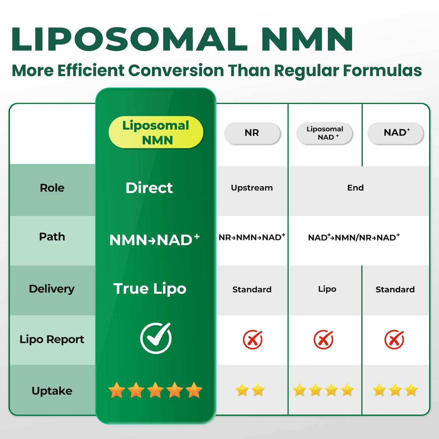 Heth Liposomal NMN Capsule 1000mg, 4-in-1 NAD+ Precursor Supplement, 60 Count