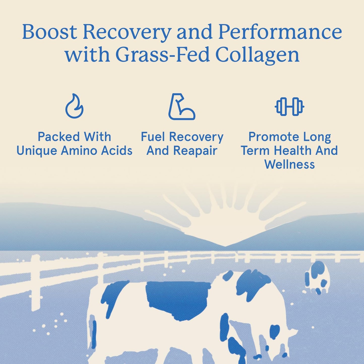 Equip Grass-Fed Hydrolyzed Collagen Powder - Vanilla, 30 Scoops