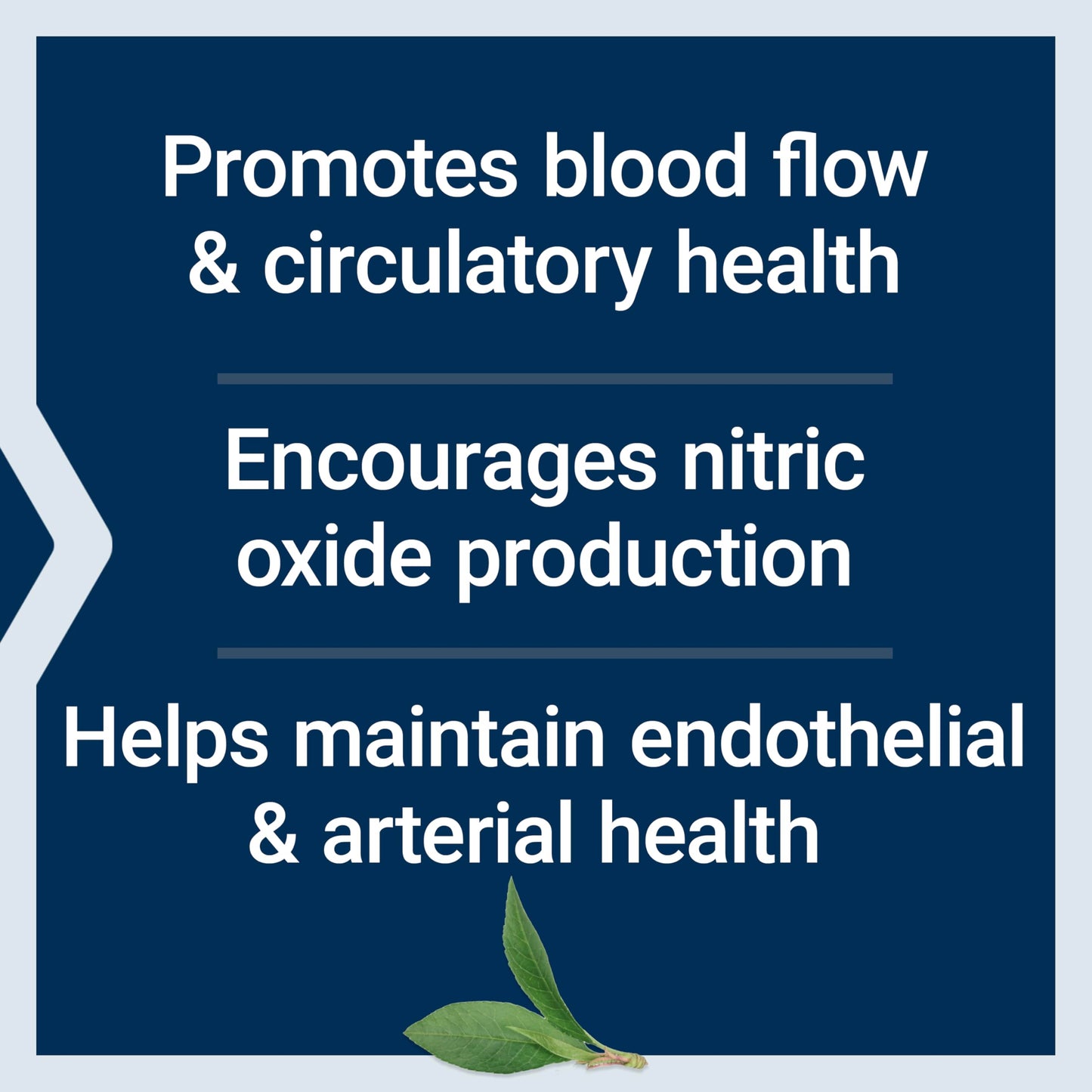 Life Extension NitroVasc Boost Powder, 2.77 Ounce