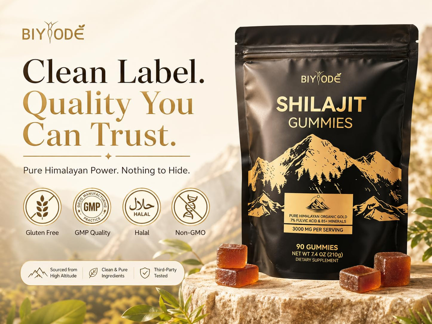 BIYODE Shilajit Gummies 90 Count